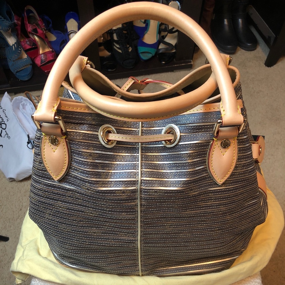 Louis Vuitton Limited 2010 bag